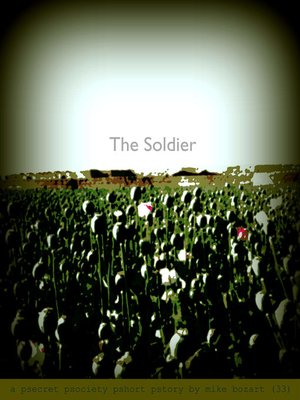 cover image of The Soldier